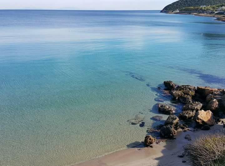 Seaview Pool Villa Near Beach And Athens Airport Pórto Ráfti エクステリア 写真